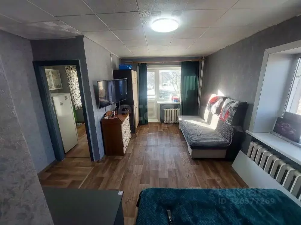 1-к кв. Амурская область, Свободный ул. Комарова, 35 (29.9 м) - Фото 1