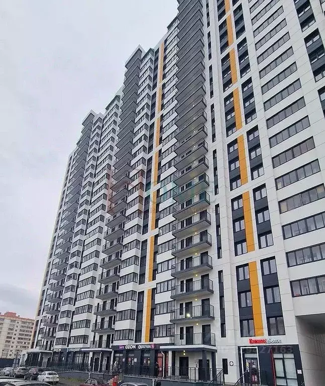 3-к кв. Новосибирская область, Новосибирск ул. Петухова, 162 (62.0 м) - Фото 2