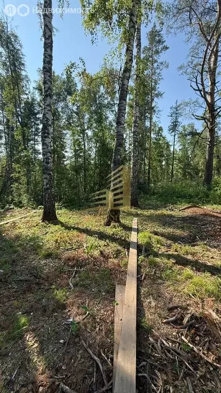 Участок в Барышевский сельсовет, СНТ Новоборские Усадьбы, Невская ... - Фото 0