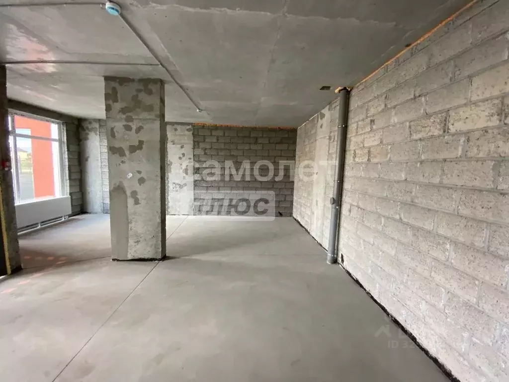 Помещение свободного назначения в Тюменская область, Тюмень ул. ... - Фото 1