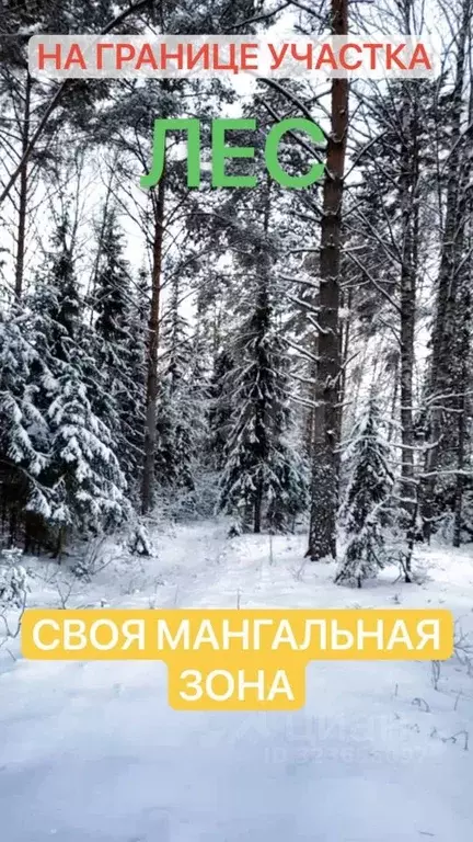 Участок в Костромская область, Красносельский район, Шолоховское ... - Фото 1