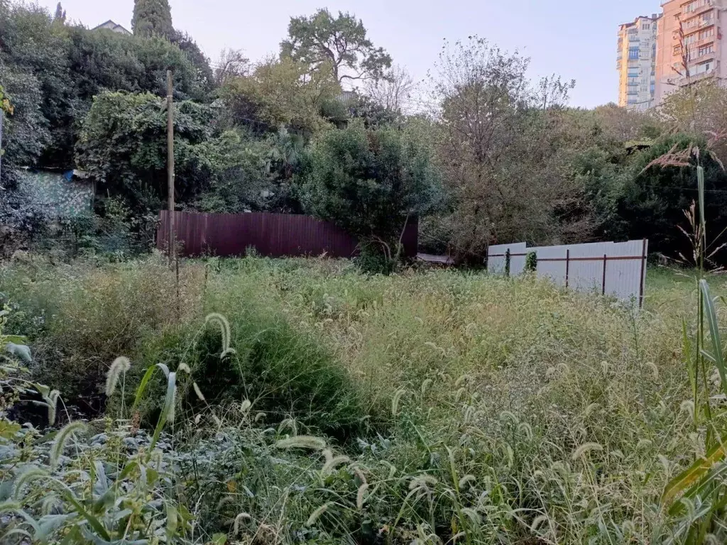 Участок в Краснодарский край, Сочи ул. Полтавская, 35А (2.0 сот.) - Фото 2