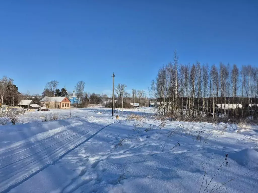 Участок в Псковская область, Печорский муниципальный округ, д. Лисье  ... - Фото 1