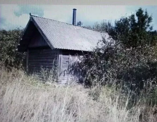 Дом в Псковская область, Красногородский муниципальный округ  (60 м) - Фото 1