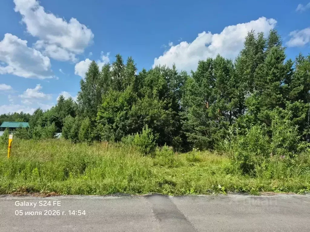 Участок в Свердловская область, Заречный муниципальный округ, с. ... - Фото 1