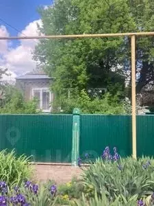 Участок в Ростовская область, Пролетарск ул. Чапаева, 51 (1.56 сот.) - Фото 0