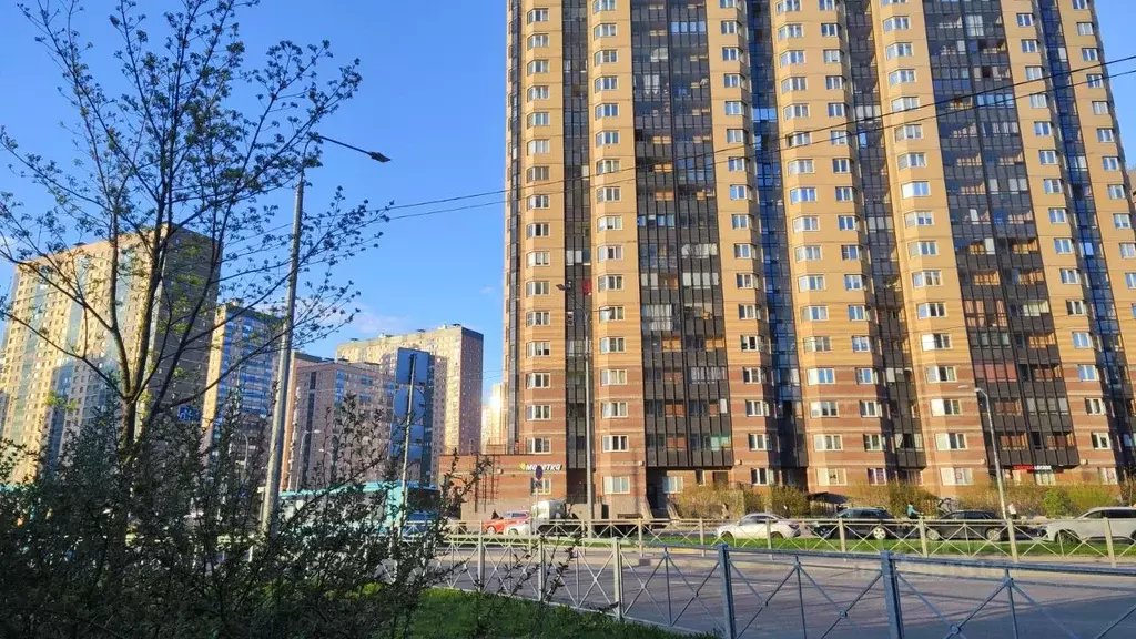 Студия Санкт-Петербург пос. Парголово, Заречная ул., 41 (21.6 м) - Фото 2