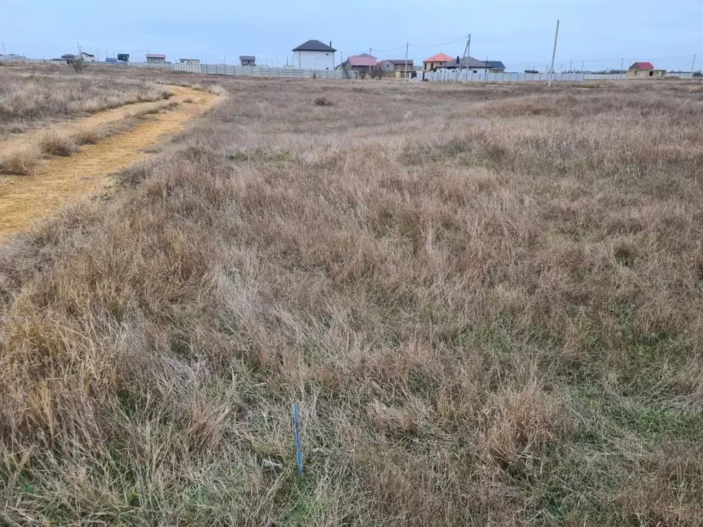 Участок в Крым, Сакский район, Молочненское с/пос, с. Витино ул. ... - Фото 1