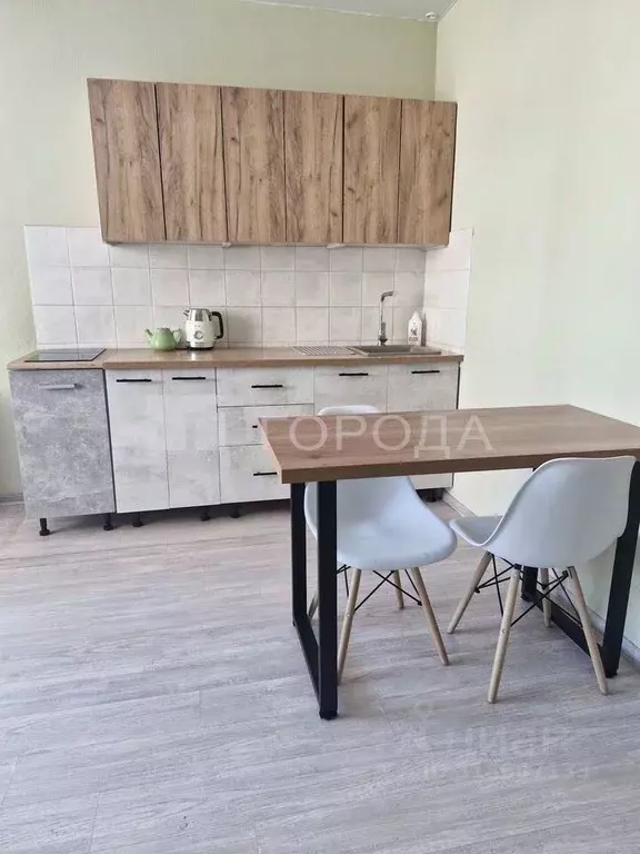 Студия Новосибирская область, Новосибирск Красный просп., 331 (22.0 м) - Фото 1