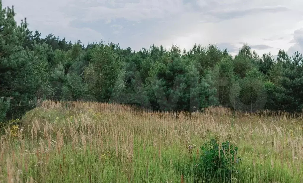 Участок 4 га (СНТ, ДНП) - Фото 1