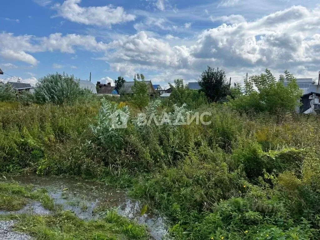 Участок в Новосибирская область, Новосибирск Нива садовое ... - Фото 1