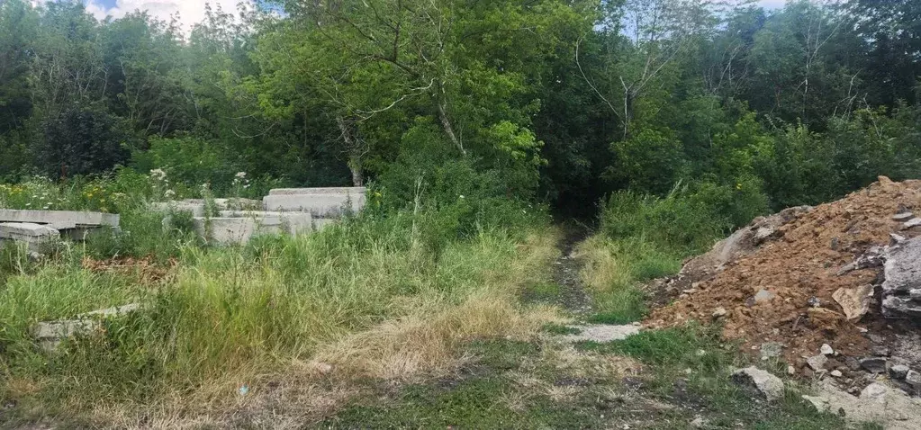 Участок в Ставропольский край, Ставрополь Орбита садовое товарищество, ... - Фото 1