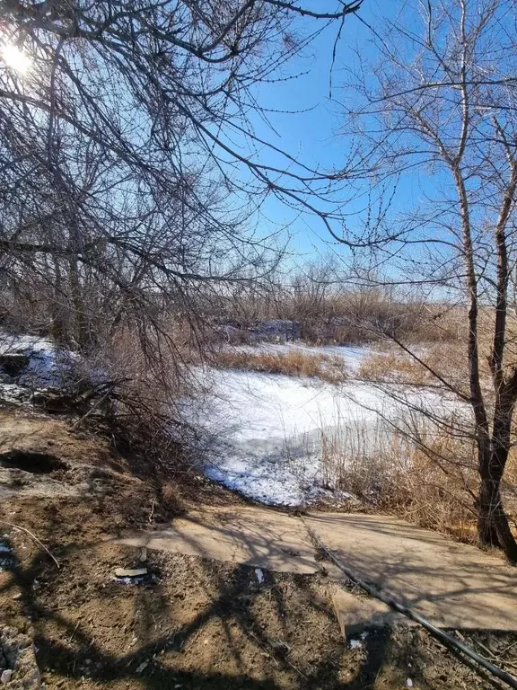 Дом в Волгоградская область, Волгоград ул. Куприна, 164 (58 м) - Фото 1