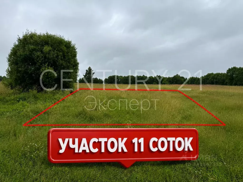 Участок в Калининградская область, Зеленоградский муниципальный округ, ... - Фото 1