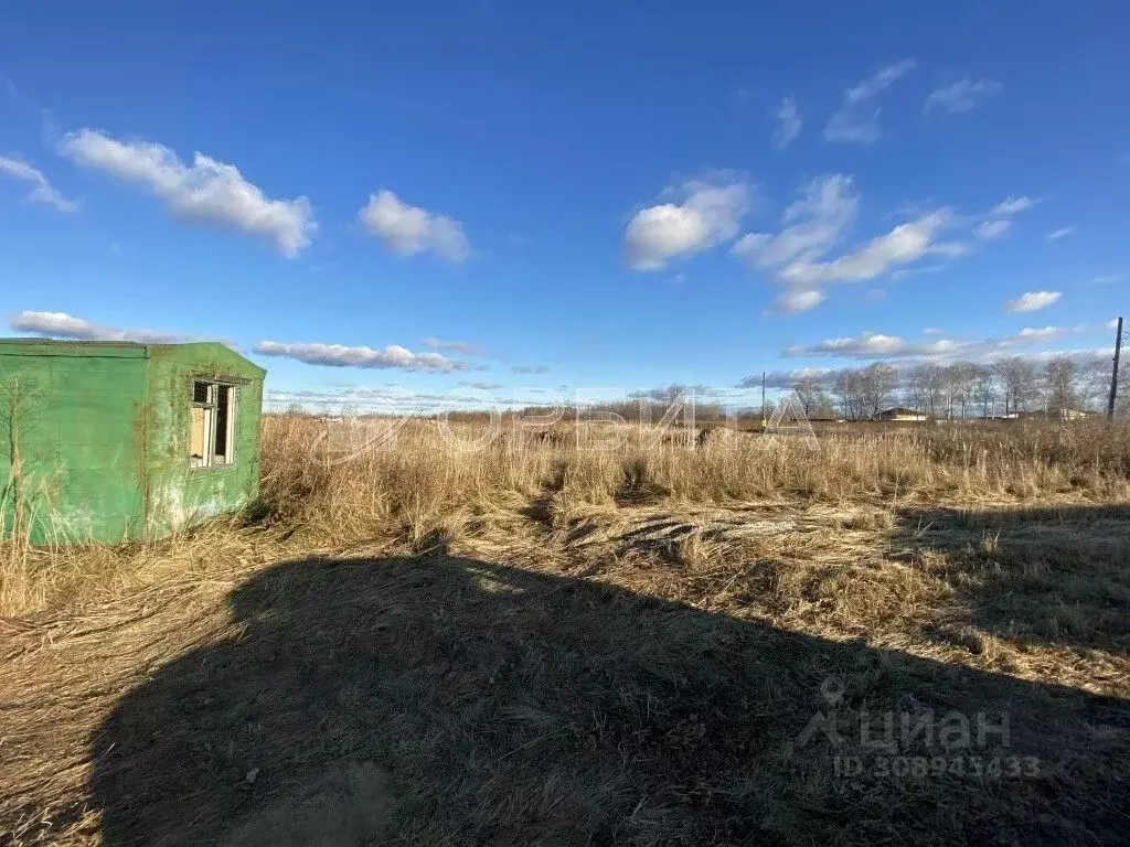 Участок в Тюменская область, Тюмень Царево садовое товарищество, ул. ... - Фото 1