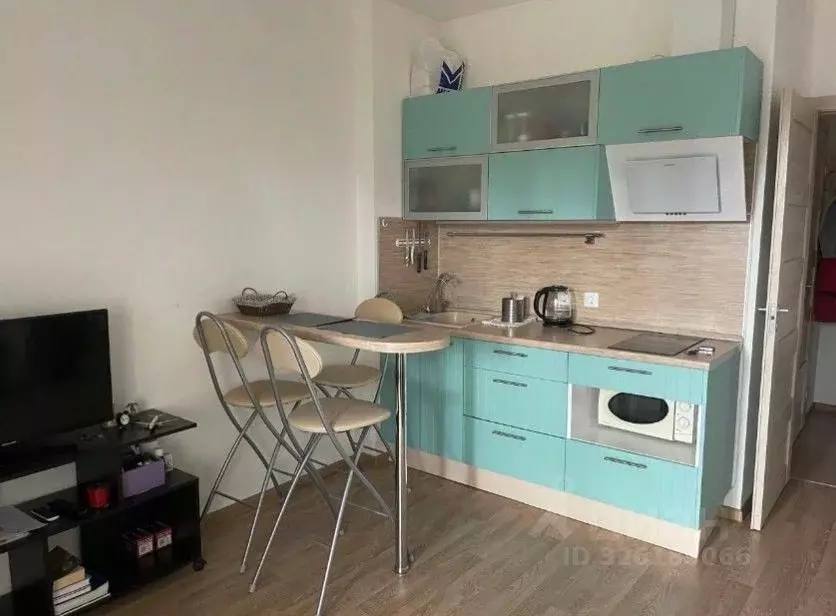 Студия Санкт-Петербург просп. Ветеранов, 171к5 (24.1 м) - Фото 1