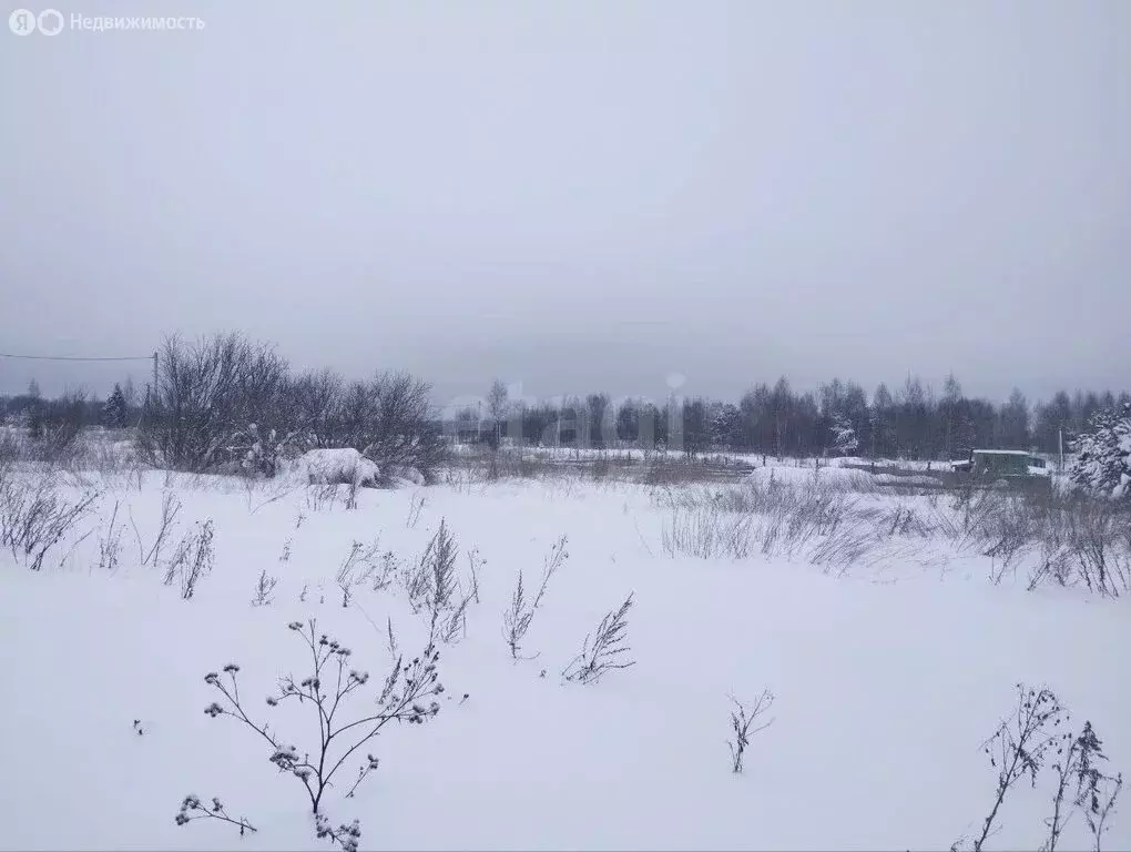 Участок в Тверская область, Калининский муниципальный округ, деревня ... - Фото 1