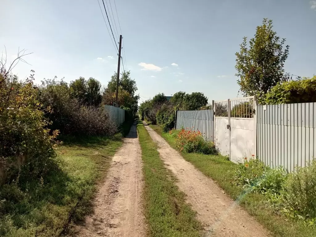 Участок в Оренбургская область, Оренбургский район, Ивановский ... - Фото 1