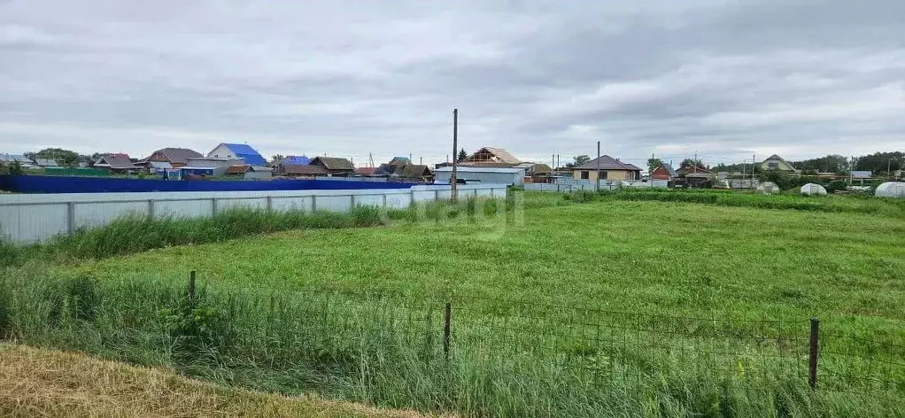 Участок в Татарстан, Тукаевский район, Князевское с/пос, с. Князево  ... - Фото 1