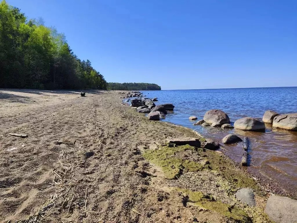 Дом в Ленинградская область, Ломоносовский район, Лебяженское ... - Фото 2