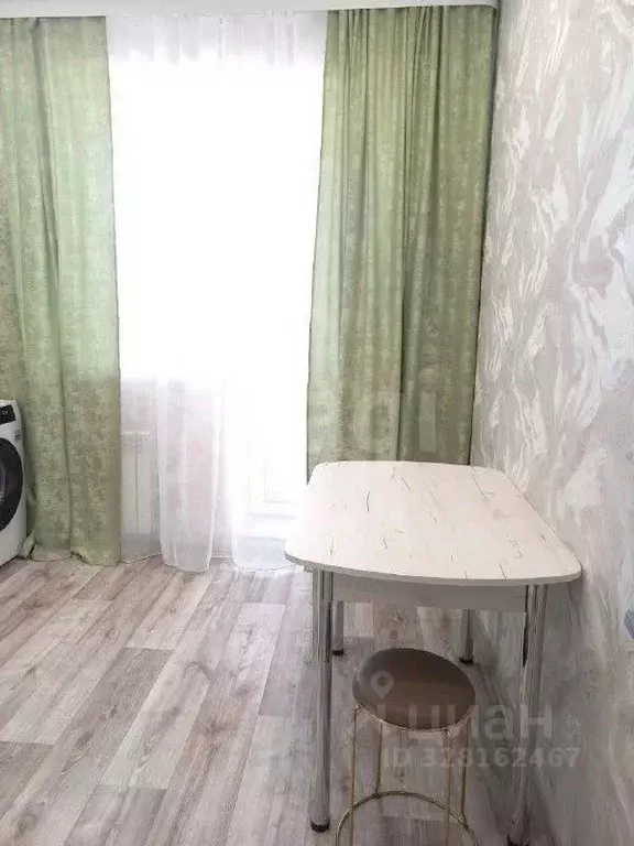 1-к кв. Амурская область, Благовещенский район, с. Чигири ул. ... - Фото 2