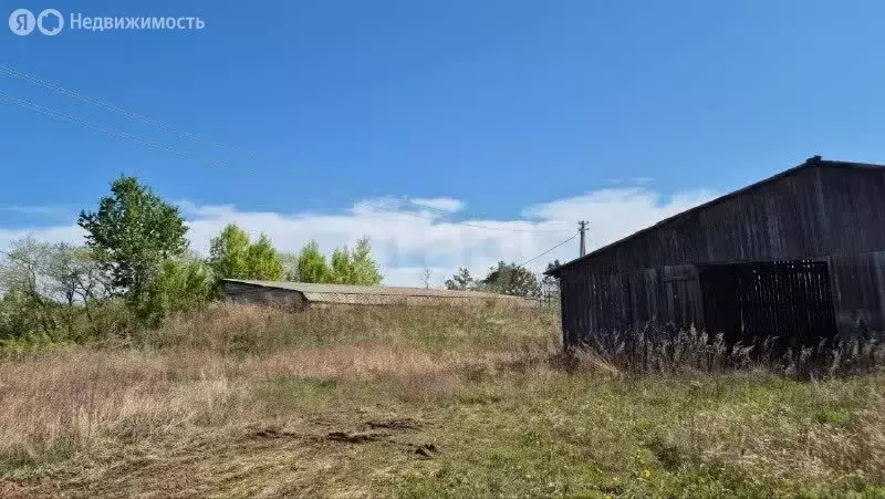 Участок в Амурская область, Благовещенский муниципальный округ, село ... - Фото 1