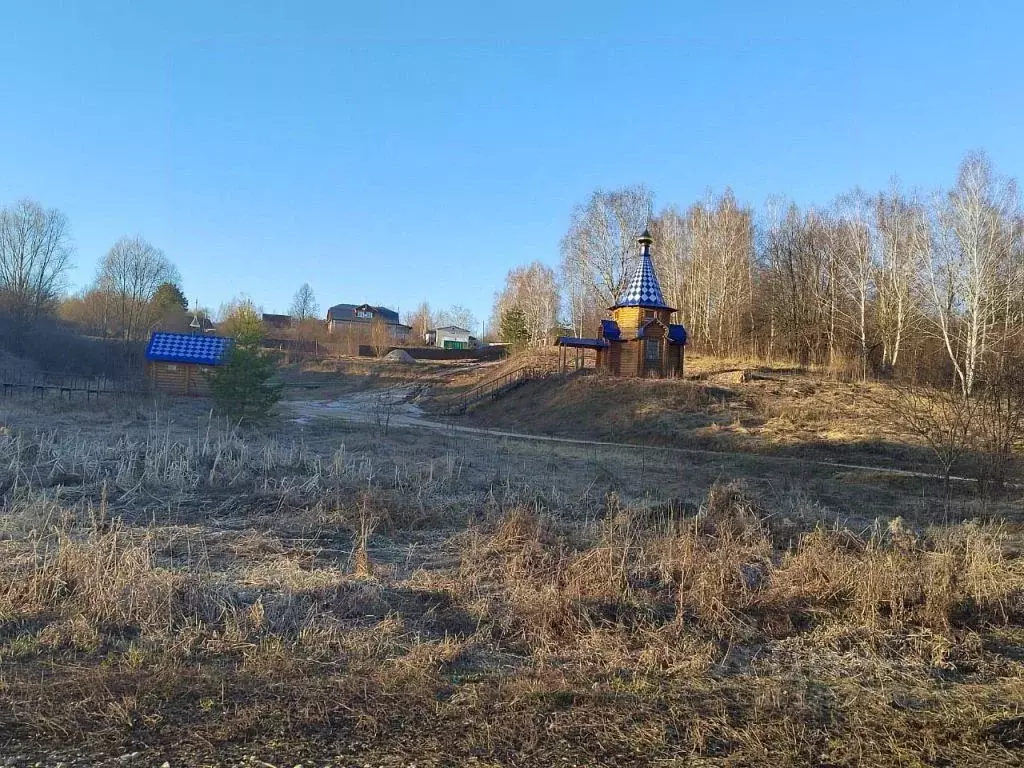 Участок в Нижегородская область, Вадский муниципальный округ, с. ... - Фото 0