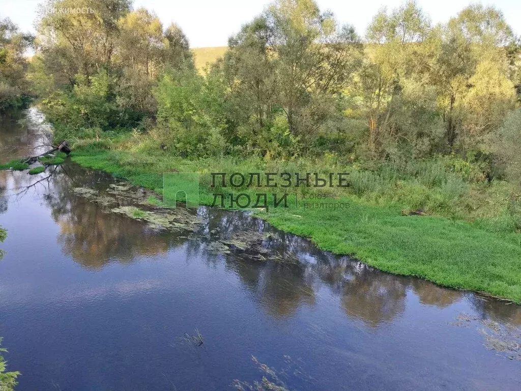 Участок в Орловский муниципальный округ, деревня Медведево, ... - Фото 2