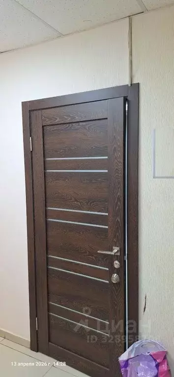 Офис в Новосибирская область, Новосибирск ул. Мичурина, 12А (19 м) - Фото 1