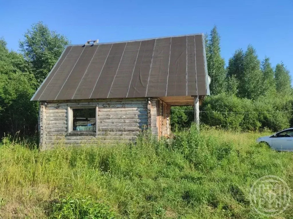 Дом в Псковская область, Плюсский муниципальный округ, д. Большие Льзи ... - Фото 0