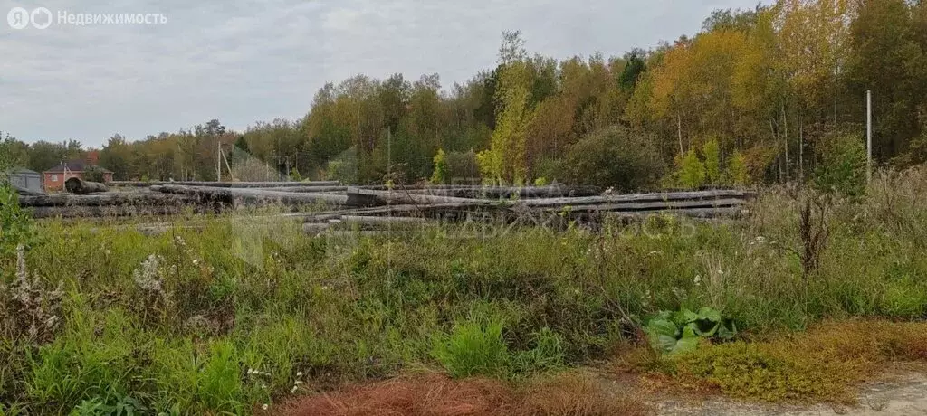 Участок в Тюменский район, деревня Ушакова (40.31 м) - Фото 0