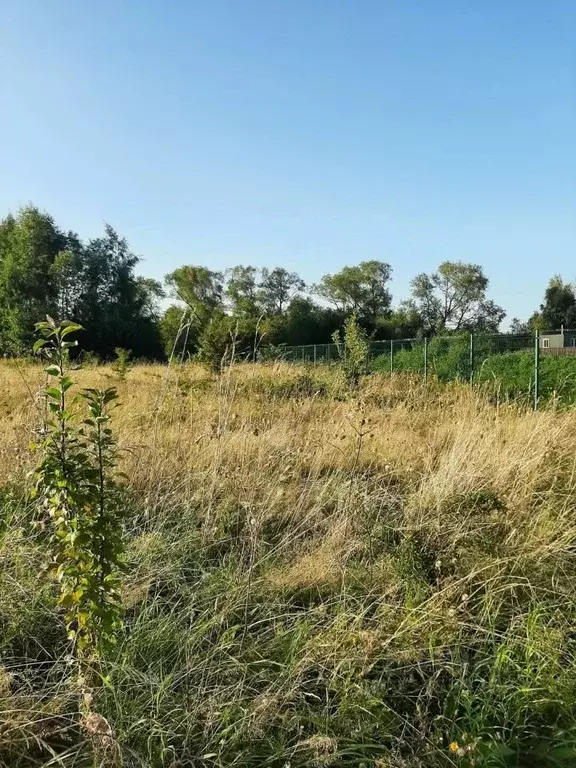 Участок в Калининградская область, Багратионовский муниципальный ... - Фото 1