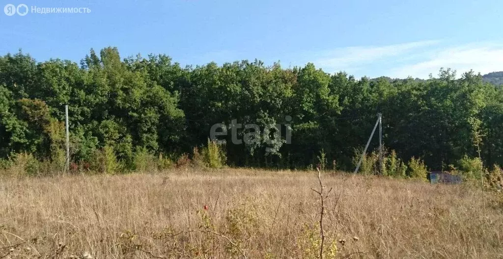 Участок в Орлиновский муниципальный округ, село Подгорное, Привольная ... - Фото 2