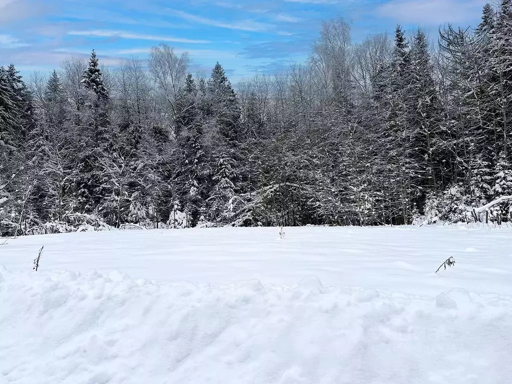 Участок в Московская область, Сергиево-Посадский городской округ, ... - Фото 1