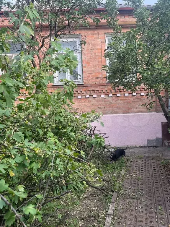 Дом 105,9 м на участке 2,3 сот. - Фото 1