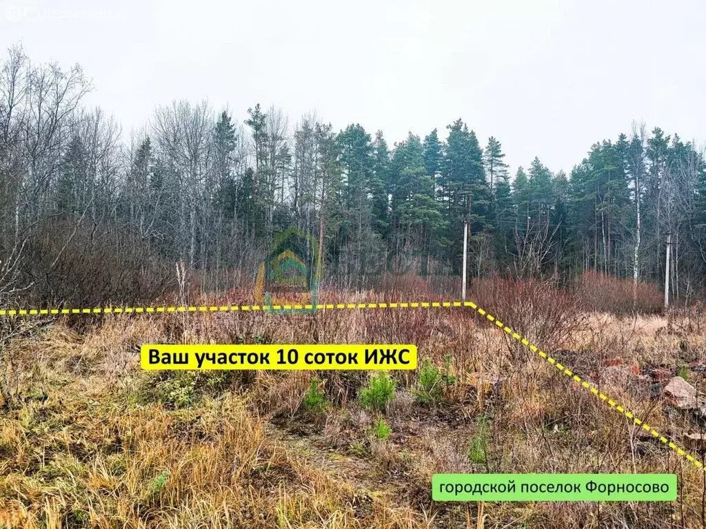 Участок в Тосненский район, Форносовское городское поселение, ... - Фото 1