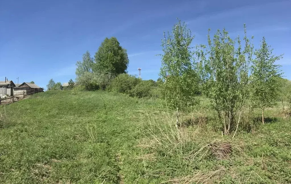 Участок в Ярославская область, Переславль-Залесский городской округ, ... - Фото 1