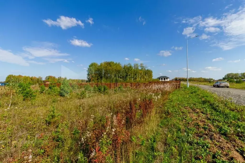 Участок в Тюменская область, Тюменский район, Новокаменский кп  (17.27 ... - Фото 0