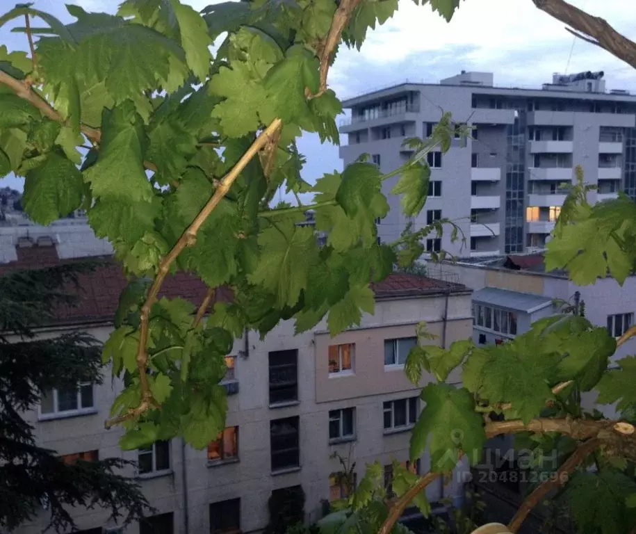 3-к кв. Крым, Ялта ул. Ленинградская, 2 (90.0 м) - Фото 2