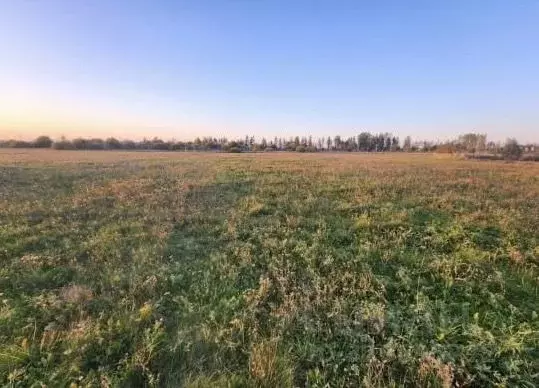 Участок в Тверская область, Калининский муниципальный округ, д. ... - Фото 0