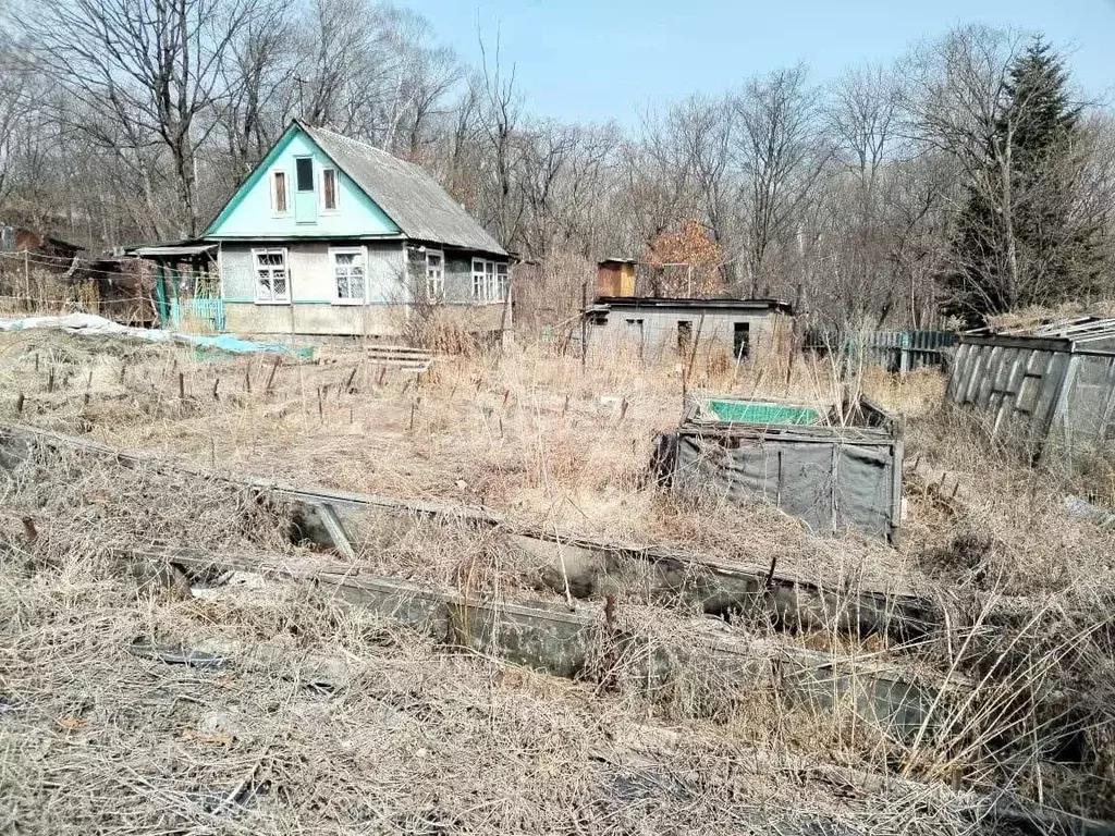 Дом в Приморский край, Надеждинский район, Дальрыба СНТ  (35 м) - Фото 1