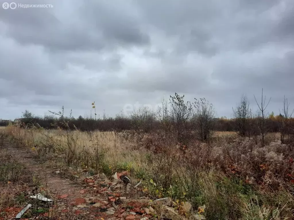 Участок в Калининградская область, Гурьевский муниципальный округ, ... - Фото 1