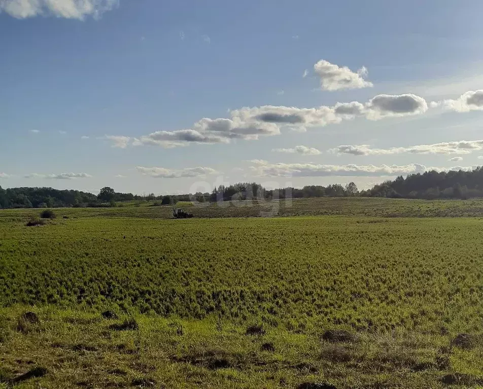 Участок в Калининградская область, Правдинский муниципальный округ, ... - Фото 2