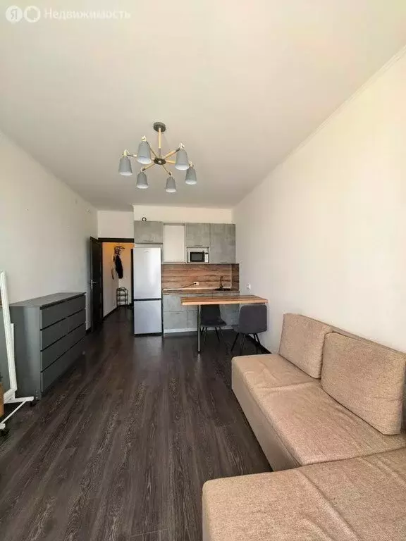 Квартира-студия: Санкт-Петербург, Арцеуловская аллея, 21 (24.5 м) - Фото 1