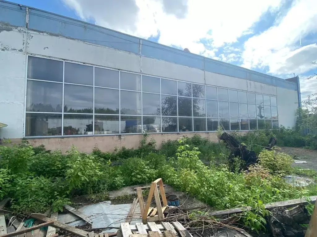 Производственное помещение в Курганская область, Курган Омская ул., ... - Фото 2