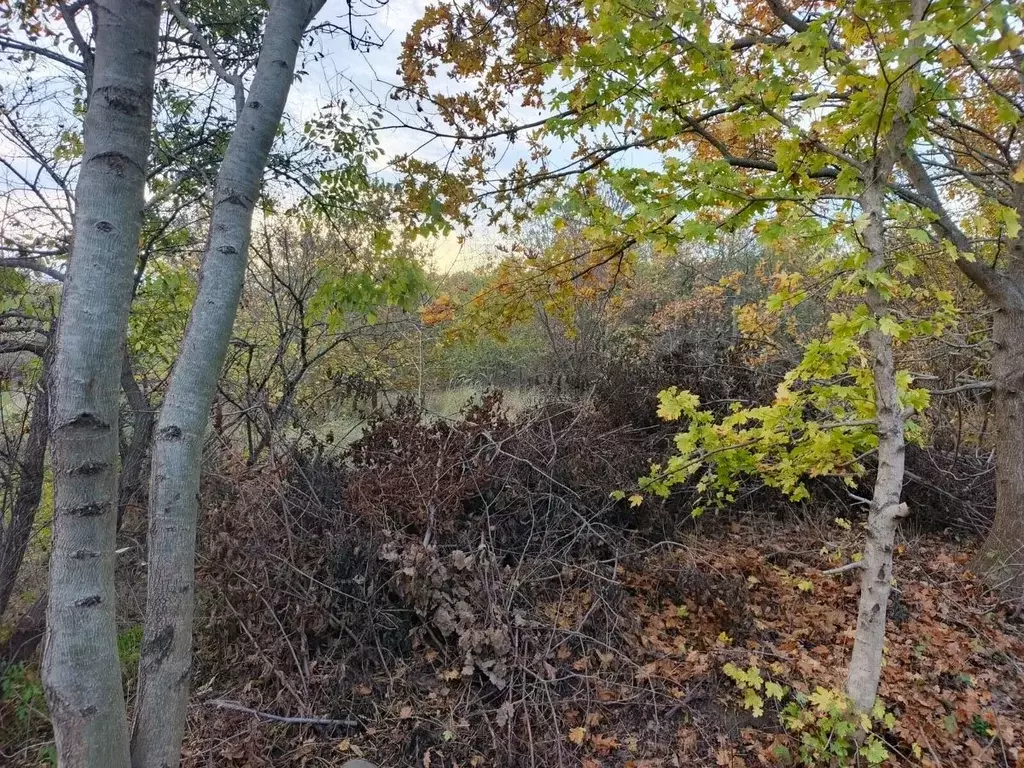 Участок в Краснодарский край, Северский район, Афипское городское ... - Фото 1