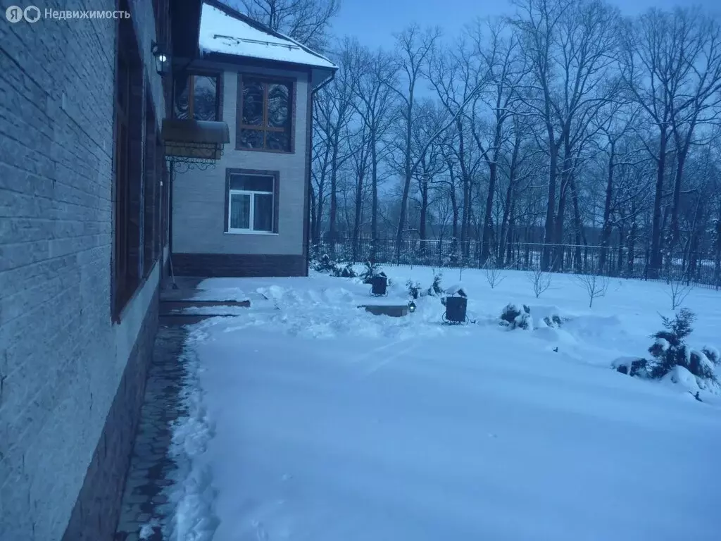 Дом в Чоповское сельское поселение (535.4 м) - Фото 1