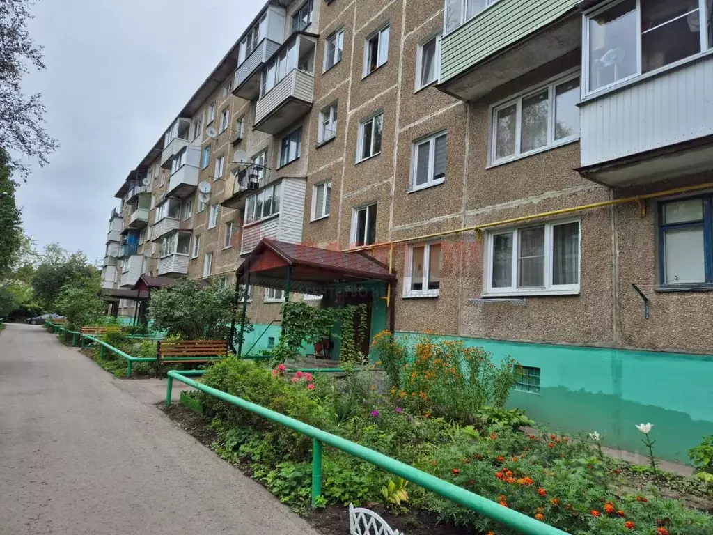 1-к кв. Московская область, Ногинск Богородский городской округ, ул. ... - Фото 1