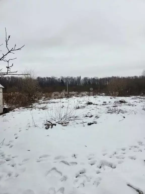 Участок в Калининградская область, Гурьевский муниципальный округ, ... - Фото 1