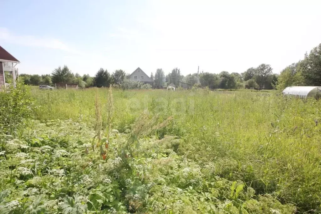 Участок в Вологодская область, Шекснинский район, Никольское с/пос, д. ... - Фото 0
